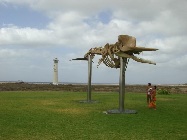 Fuerteventura-Jandia